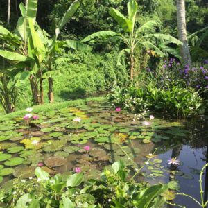 2016-02-01 09.47.02_preview