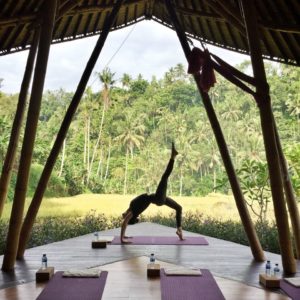 32646487065_eec8a39fda_o_preview