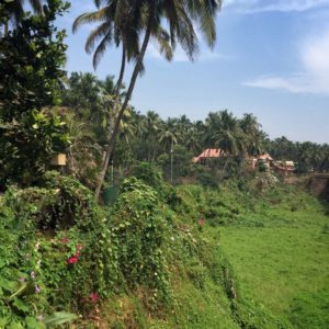 img_4351_25208387806_o_preview