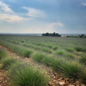 2015-06-08 16.27.10-1_preview