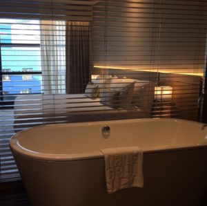 2016-12-05 11.28.54_preview