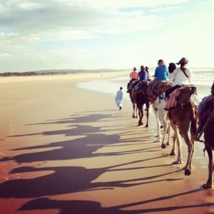 927704_653498758060729_1783664898_n_preview