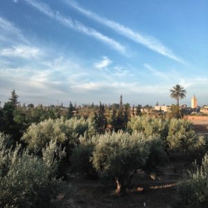 FullSizeRender_preview