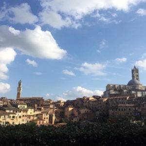 37157550263_cefaae5191_o_preview