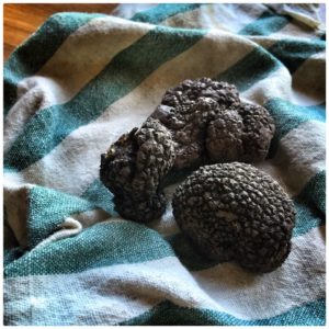 fullsizerender-1_18864410604_o_preview