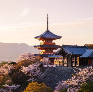 Screen Shot 2019-07-09 at 3.35.47 PM