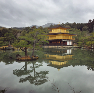 Screen Shot 2019-07-09 at 3.39.17 PM