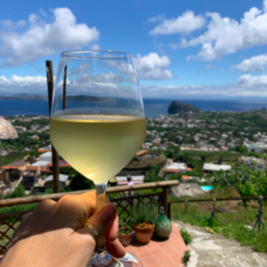 Screen Shot 2019-07-10 at 3.55.55 PM